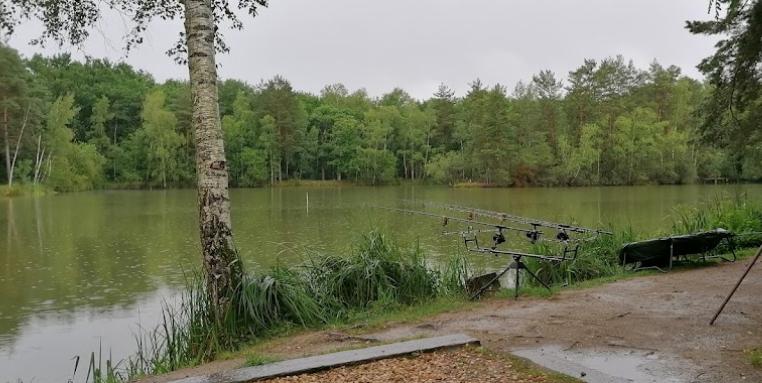 Etang des Fontenils