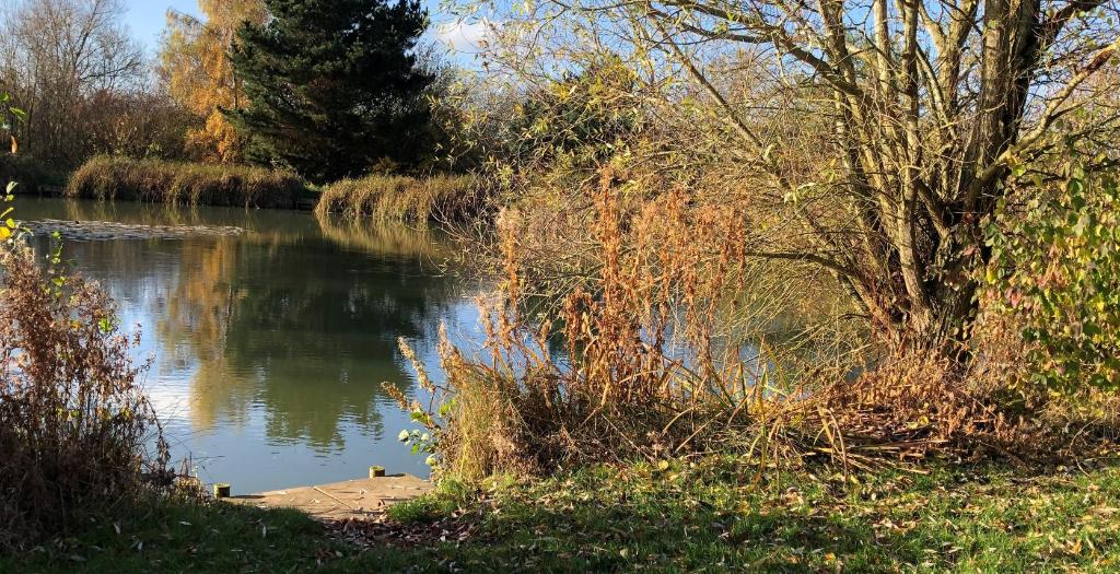 Whetstone Gorse Fishery