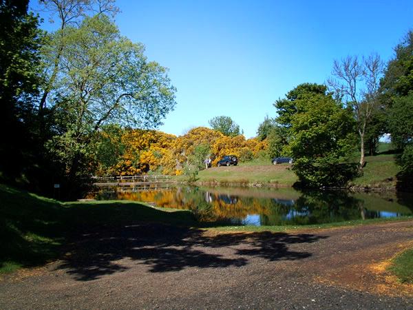 Parkley Fishery