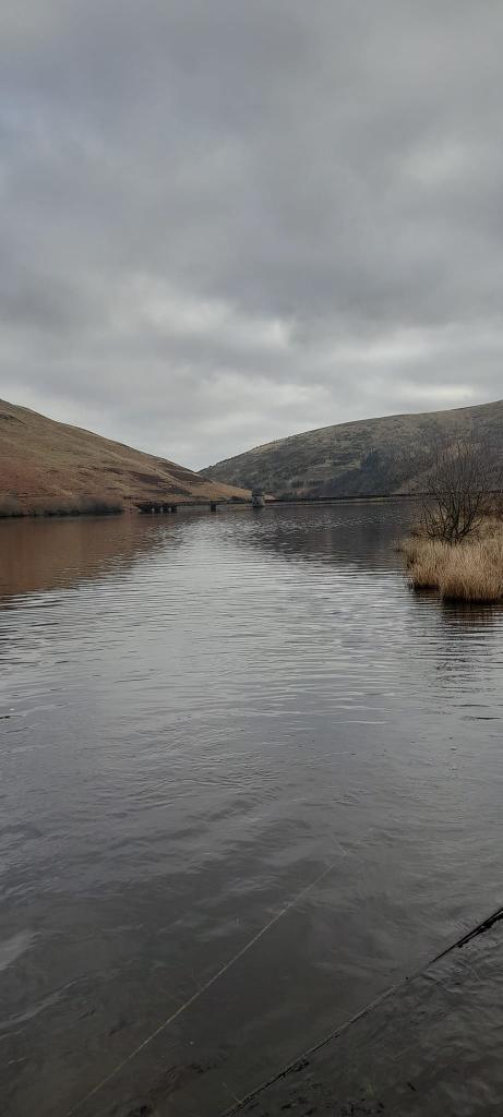 Frandy Fishery