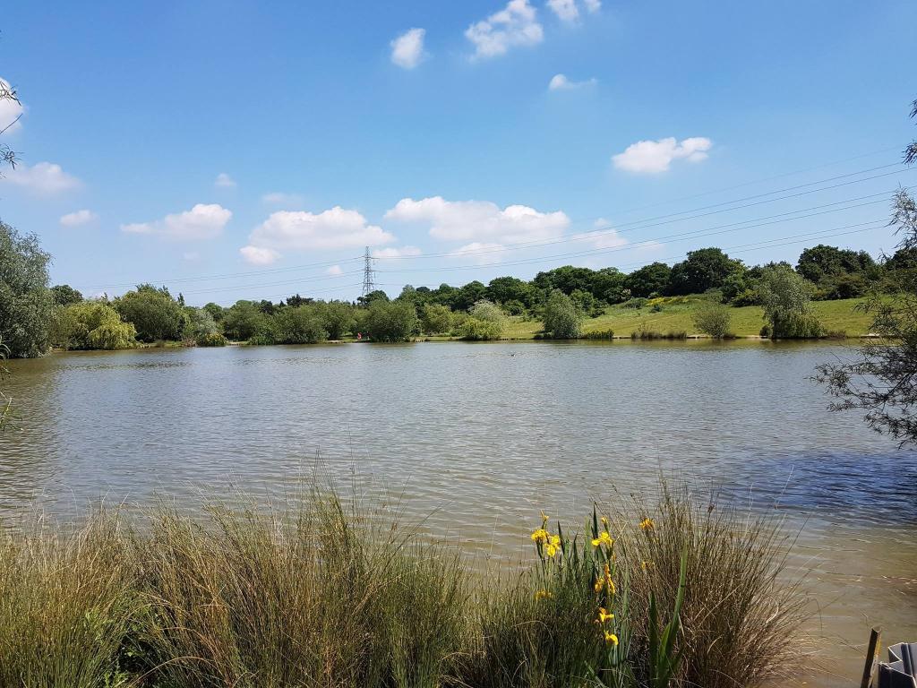 Tylers Common Fishery