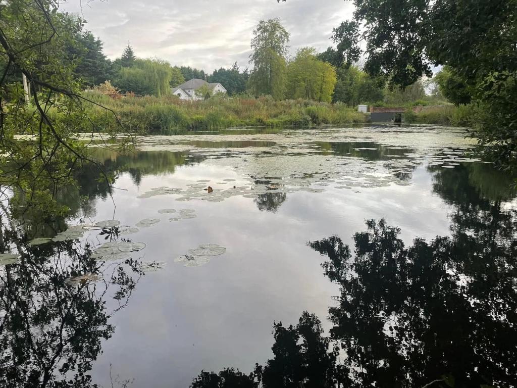 East Bilney Lakes