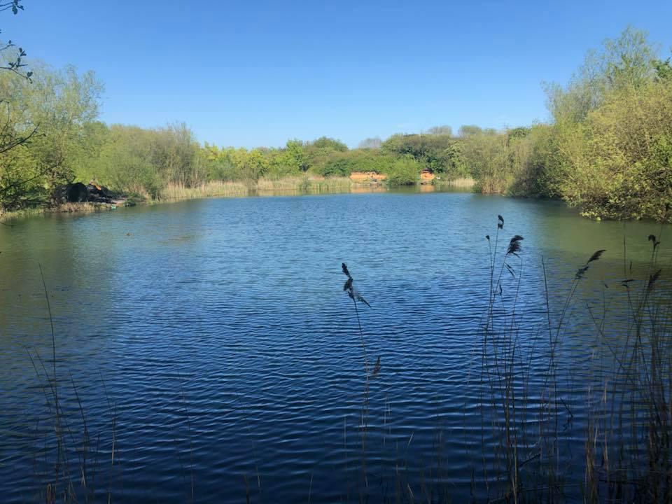 Star Lane Fishing Lake