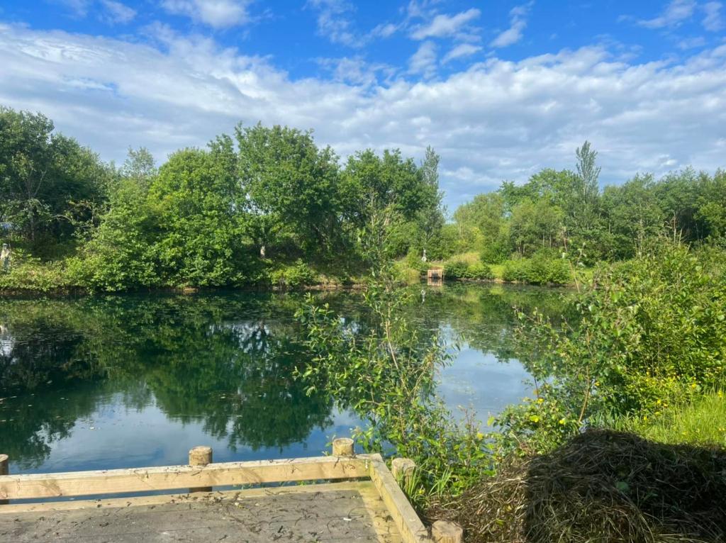 Gowerton Coarse Fishery