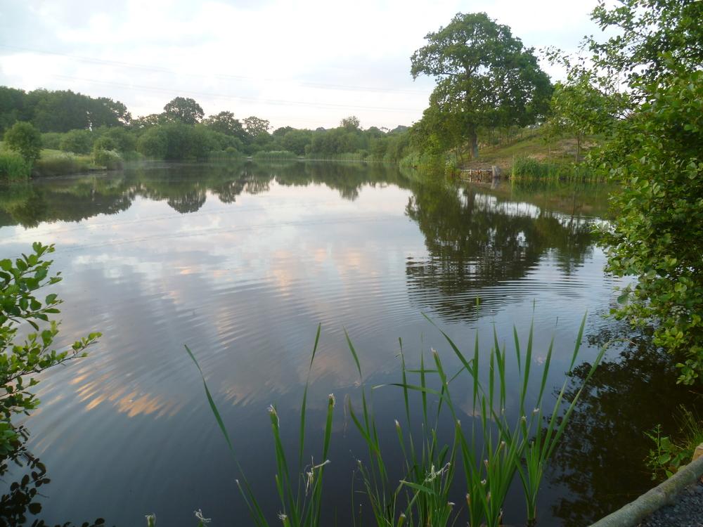 Brick Farm Lakes Trout Fishery