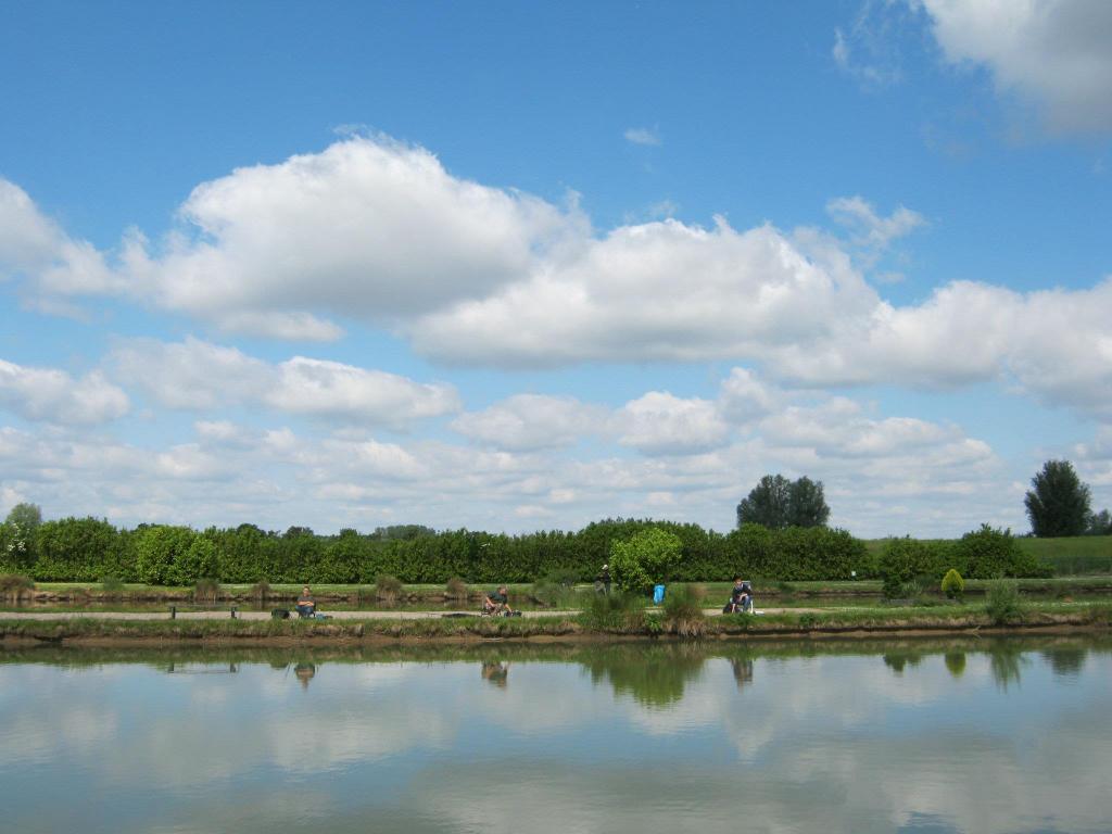 Visvijver de Biesbosch