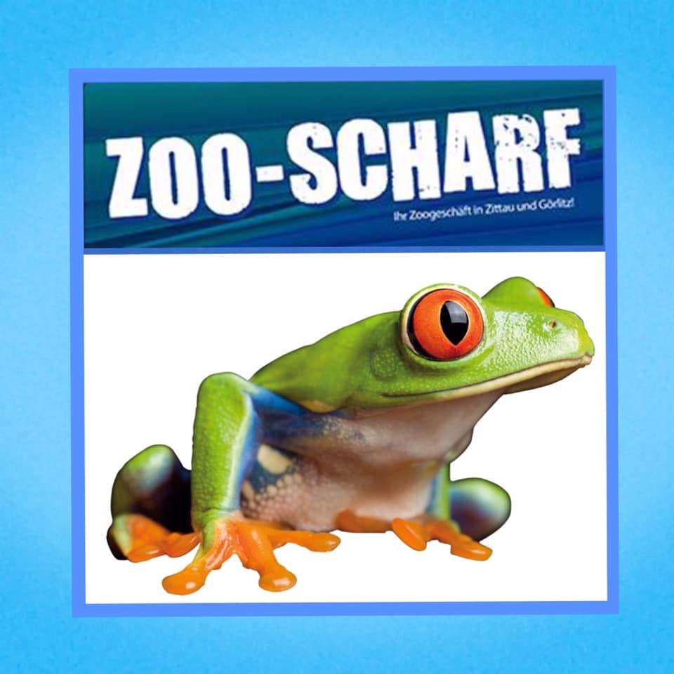 Zoo - Scharf