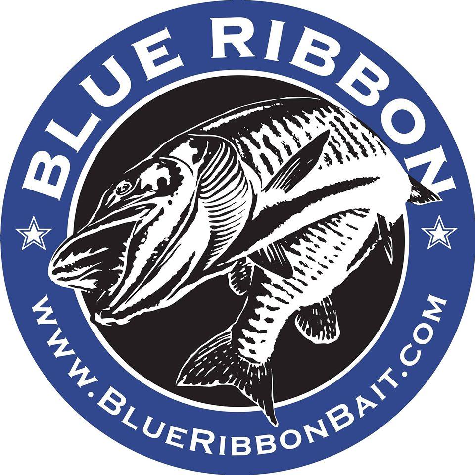 Blue Ribbon Bait & Tackle