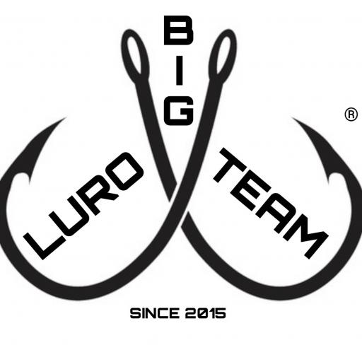 bigluro team